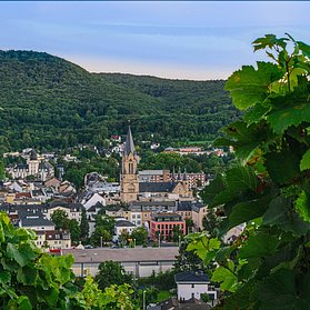 Natur & Stadt