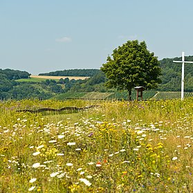 Ehlinger Ley, Ahrtal, Ehlingen, Ehlinger Köpfchen, AhrSteig