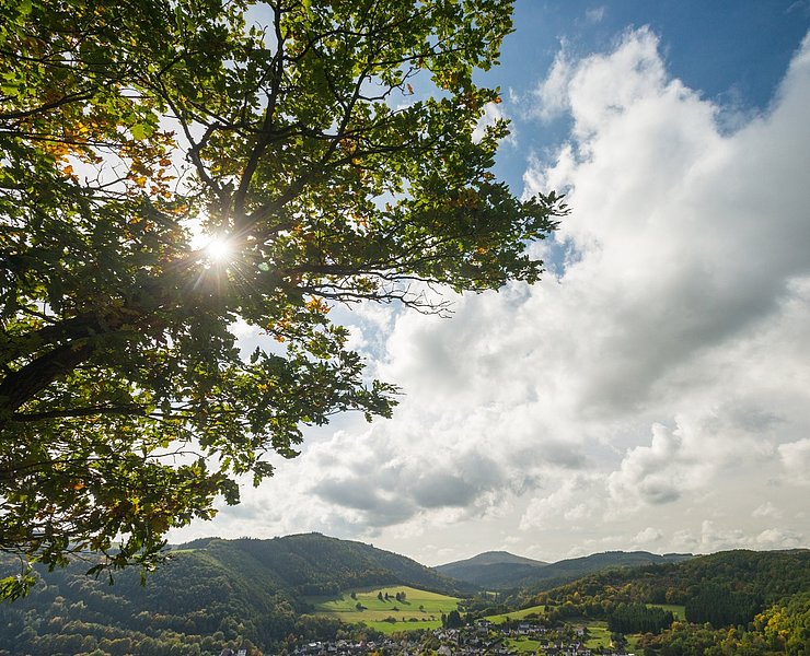 AhrSteig Ausblick Spicher Ley