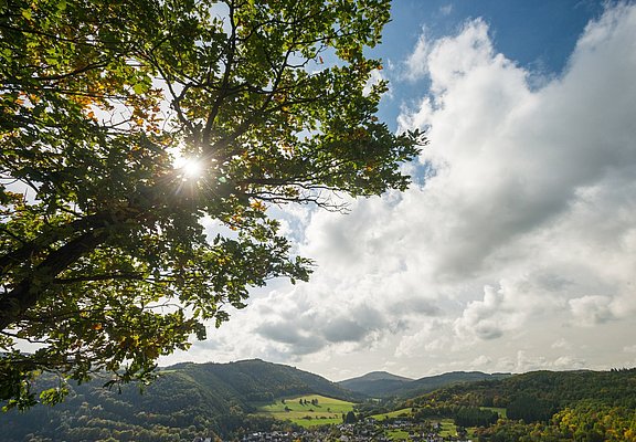 AhrSteig Ausblick Spicher Ley