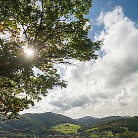 AhrSteig Ausblick Spicher Ley