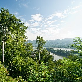 Blick aufs Siebengebirge