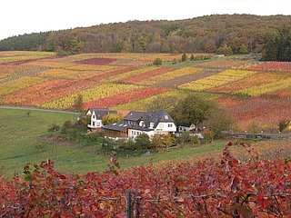 Altenwegshof, Rotweinwanderweg, Ahrtal, Weinberge, Walporzheim, Ausflugsgaststätte