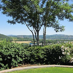 Blick vom Garten ins Rheintal