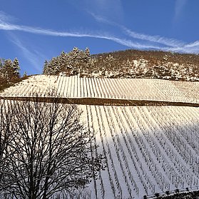 IMG_1917