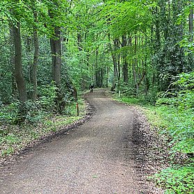 Waldweg auf dem Rückweg zur Rheinhöhe