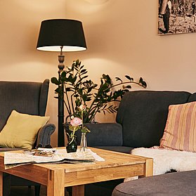Wohnzimmer Rebstock