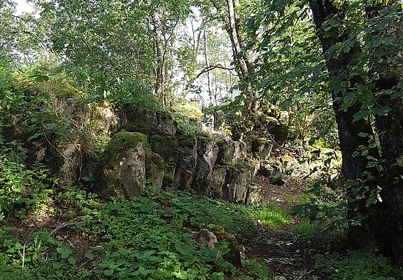 Basaltformationen Hohe Acht
