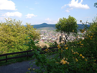 Ahrtal, Bad Neuenahr, Adenbachhütte, Event, Veranstaltung, Location