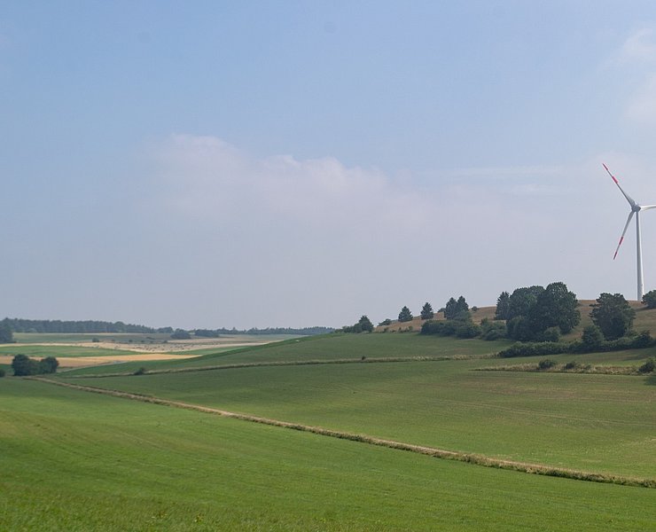 Blick über Wiesen