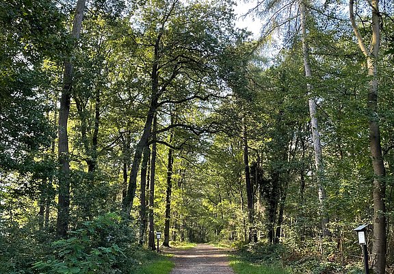 Waldpassage