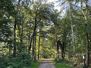 Waldpassage