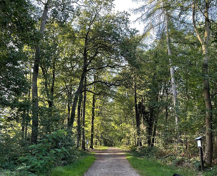 Waldpassage
