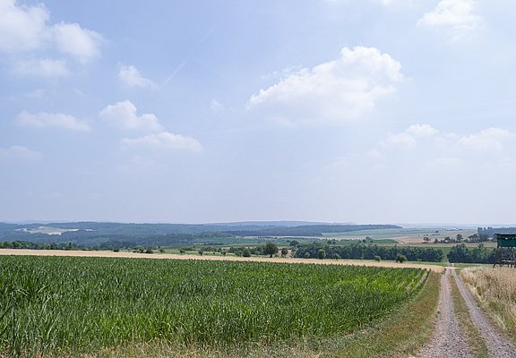 Blick über Felder