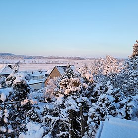 grüner_Horizont_im_Winter