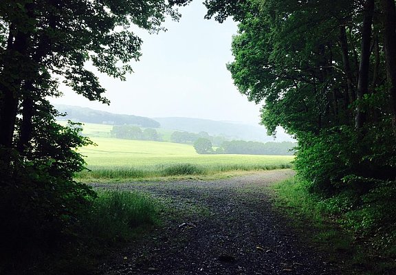 Sonntag, 5. Juni 2016, 14:38 Uhr