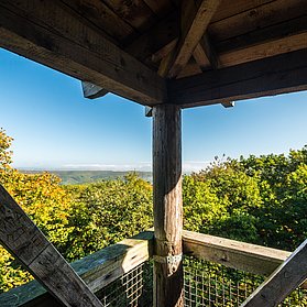 Aussicht Alfred-Dahm-Turm