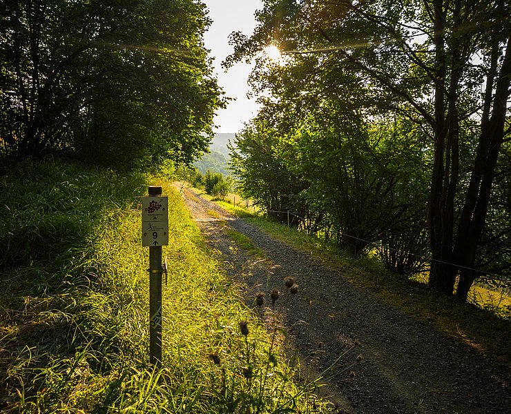 Weg zur Landskrone