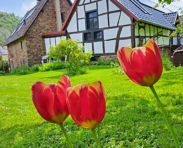 Frühling hält Einzug
