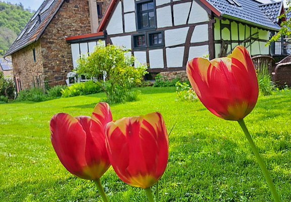 Frühling hält Einzug