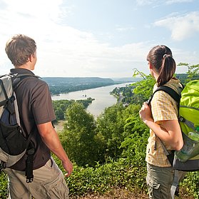 Aussicht auf den Rhein am Rolandsbogen
