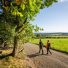 Hocheifel-Panorama bei Aremberg