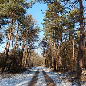 "Waldbaden"