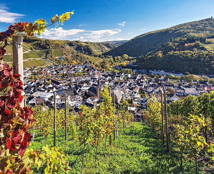 Blick auf Dernau
