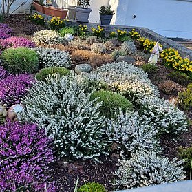 Vorgarten im Frühjahr