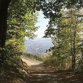 Blick auf Ahrweiler