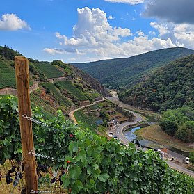 Rotweinwanderweg