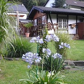 Unser Garten