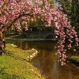 Natur und Stadt