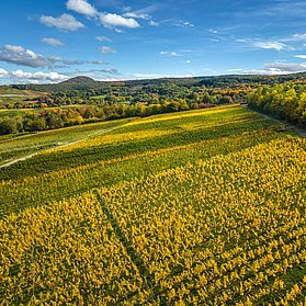 Blick von Ahrweiler Richtung Neuenahrer Berg