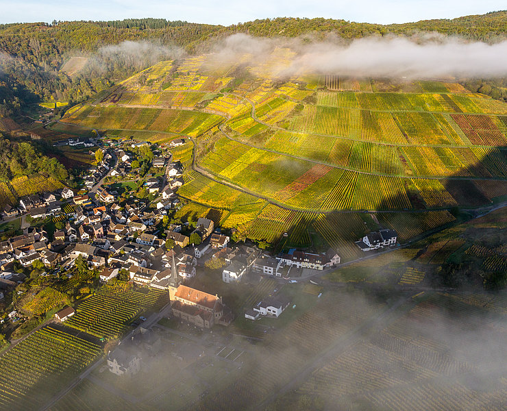 Weinbergslage „Mönchberg“ in Mayschoß mit herbstlicher Farbenpracht und Nebelschwaden über dem Weindorf.
