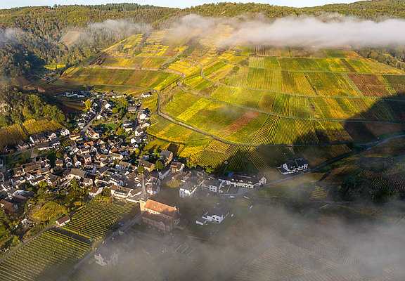 Weinbergslage „Mönchberg“ in Mayschoß mit herbstlicher Farbenpracht und Nebelschwaden über dem Weindorf.
