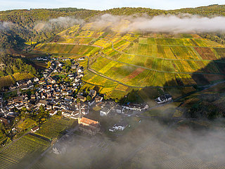 Weinbergslage „Mönchberg“ in Mayschoß mit herbstlicher Farbenpracht und Nebelschwaden über dem Weindorf.