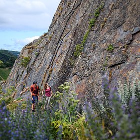 Steile Felsen hoch über Mayschoß