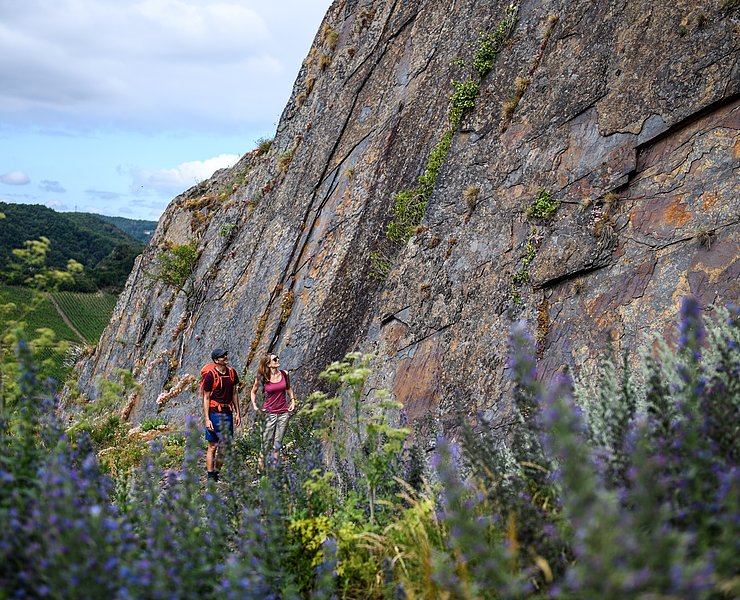 Steile Felsen hoch über Mayschoß