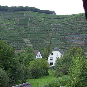 Aussicht