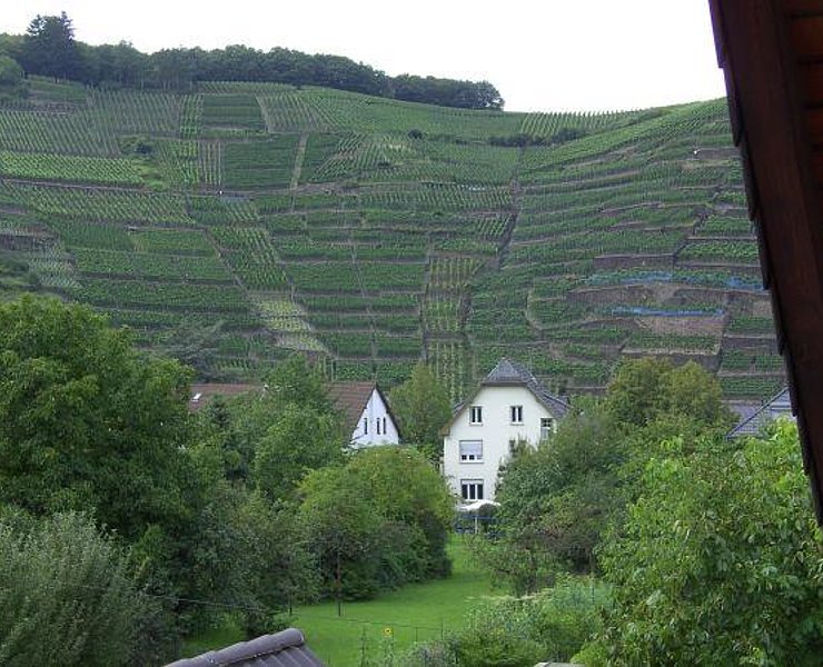Aussicht