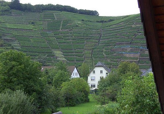 Aussicht