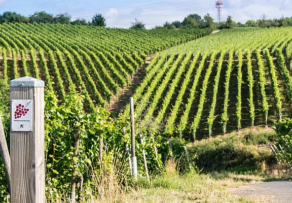 Natur und Stadt