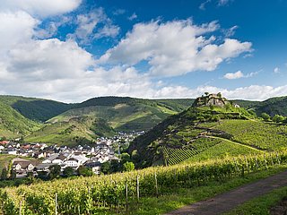 "Blick auf die Saffenburg"
