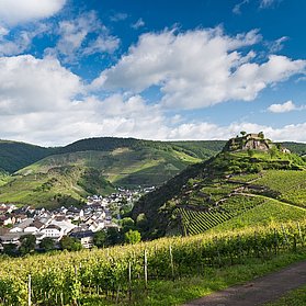 "Blick auf die Saffenburg"