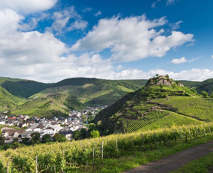 "Blick auf die Saffenburg"
