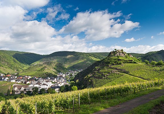"Blick auf die Saffenburg"