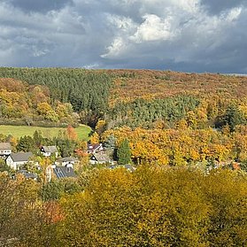 Aussicht Am Baumwipfel