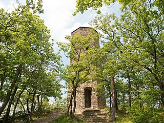 Krausberg, Ahrtal, Wandern, Dernau