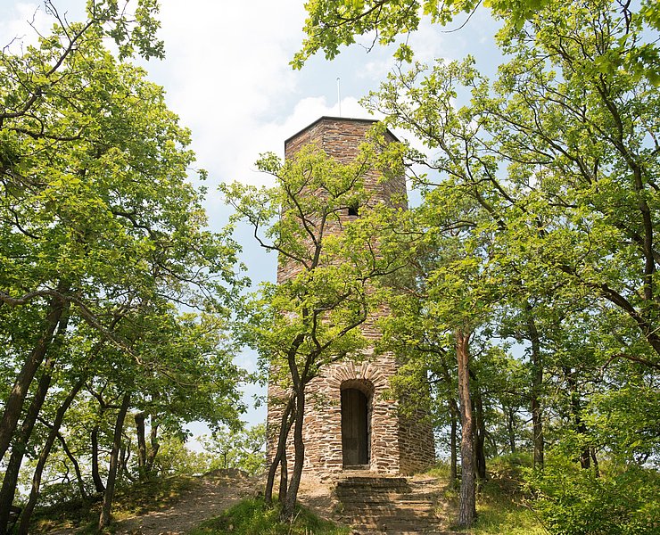 Krausberg, Ahrtal, Wandern, Dernau
